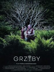 Grzyby