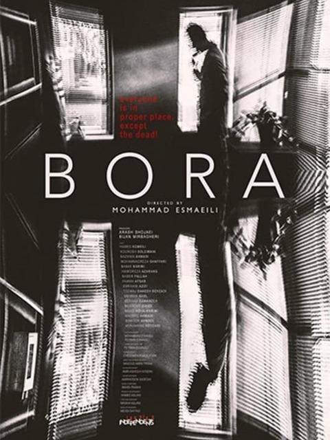 The Bora