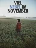 Viel Nebel im November