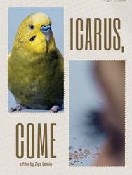 Icarus, kom