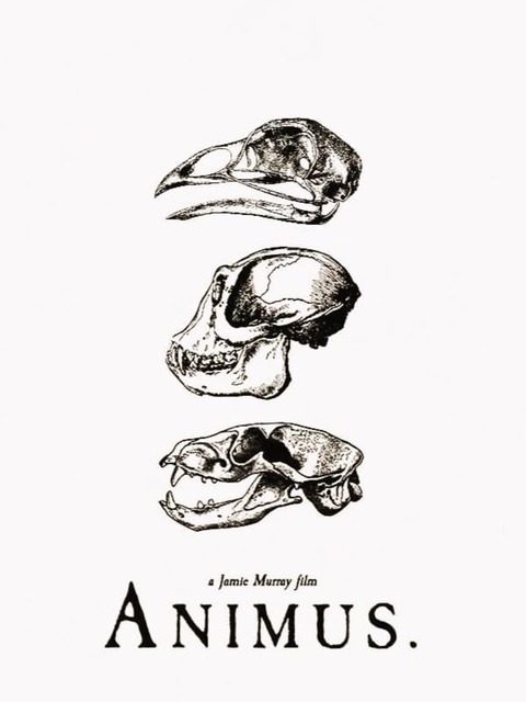 Animus