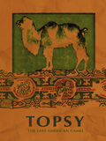 Topsy: The Last American Camel