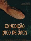 Expedição Pico-De-Jaca