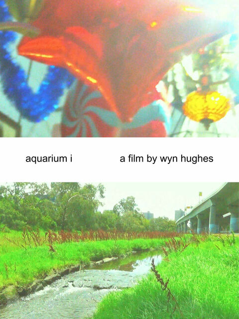 aquarium i