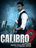 Calibro 9