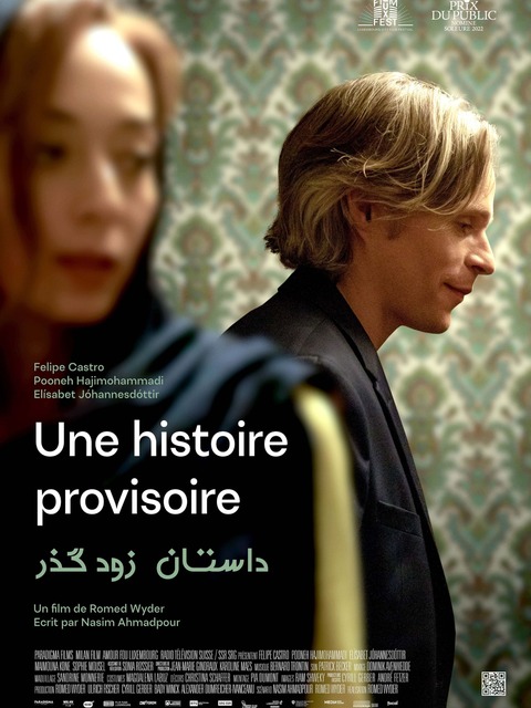 Une histoire provisoire