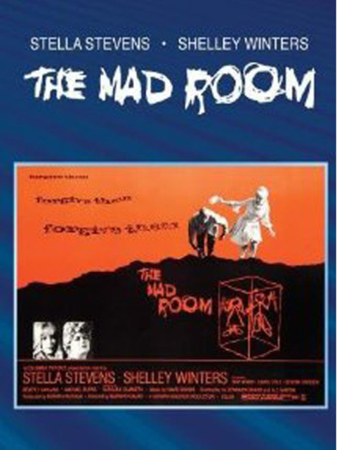 The Mad room