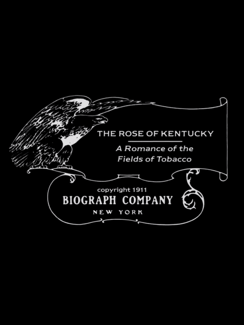 La Rose du Kentucky