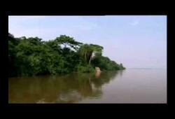 bande annonce de Congo river