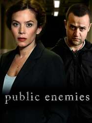 Public Enemies