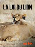 La loi du lion