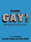 Tellement gay ! Homosexualité & pop culture