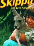 Skippy, le kangourou