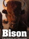 Bison : une histoire de l'Amérique